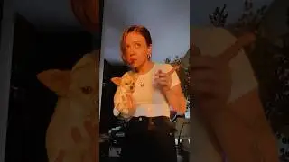 Using my dog to get you to pre-save my song