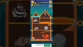 Home Pin level 333 walkthrough 