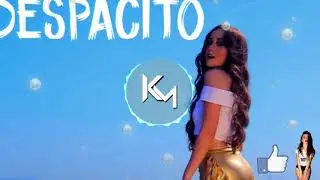 DJ Factory Workout - Despacito Remix [COVER]