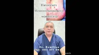 Патогенез менингококкового менингита