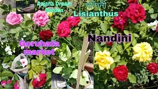 Goruhata flower plant market uluberia#uluberia market