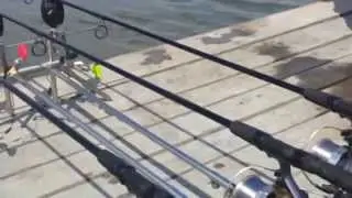 carp fishing (Mika-Alas)