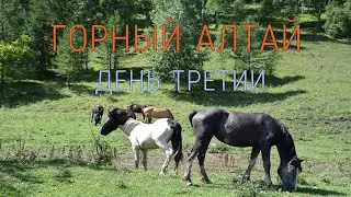 Алтай. Путешествие на машине. Одиннадцать дней дикарями. День третий.