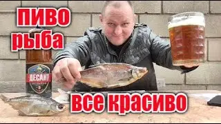 Тарань под пиво "Десант"- лучший Антидепрессант...