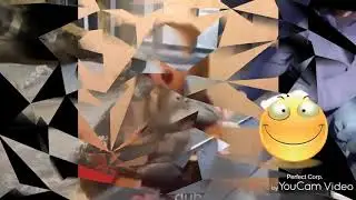 🤣🤣PIRQOLDI DODASI KORIN🤣🤣