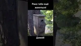 Бельчонок