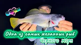 ХИЩНИК Чёрного моря атакует у камней! Рыбалка в Сочи 
