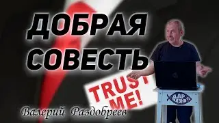 Валерий Раздобреев - Добрая совесть