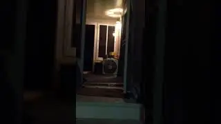 Dog Fetches Beer From Fridge!
