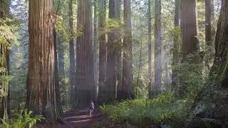Personal Mantra Relaxation Induction