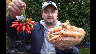 ИМПЕРАТОРСКИЙ ГРАНАТ РЕЦЕПТ ЗДРАВСТВУЙ ПЯТНИЦА
