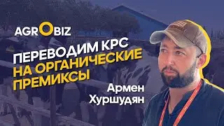Чем кормить коров и как сделать качественный корм для КРС в Казахстане? | Айс | AgroBiz