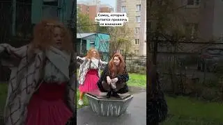 Те самые птицы за окном: