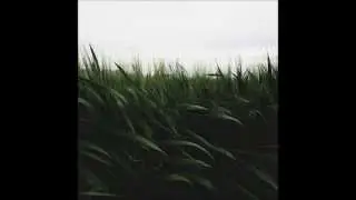Silvina López: Terruño