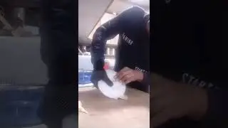 cocinando con el Dany 🤣empanadas fritas