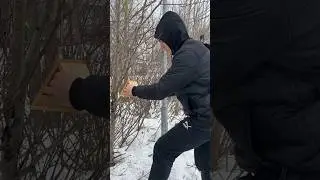 🔥БРАТЬЯ МЕНЬШИЕ