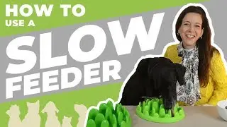 Northmate Green - Slow Feeder Demo and MORE!