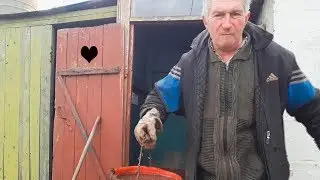 КАК ЛЕГКО ОЧИСТИТЬ УЛИЧНЫЙ ТУАЛЕТ