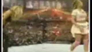 another mickie mv
