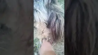 гы)))