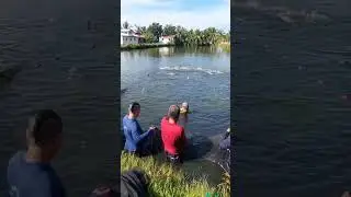 Woow!😲! A lot of Fish!! #amazing #fishing #angler #adventure #best #viral #fishing #fish #best