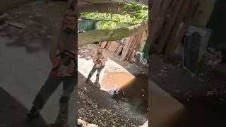 МУЖИК С БЕНЗАПИЛОЙ