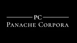 Panache Corpora | Digital Stream of Panache Institute for Online Services | For Training & Designing