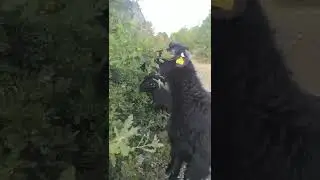 ✅👍