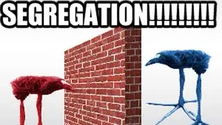 DAMNNATION!!!! (damnation bird meme)