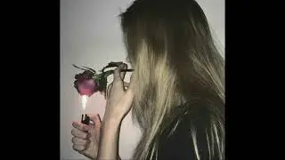 ApoloZarko - Quiero de ti
