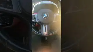 Хомяк кормит, помог Венгалби встретить 😙