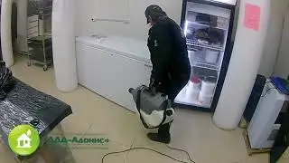 Обработка от насекомых (тараканов)