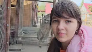 Отель в Польских горах. Музей камней и минералов. Мини-ферма.