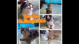 Junior Ngajak Main Tom Tom @Dhe_B13'97