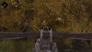Hunt Showdown | Luck or Skill?
