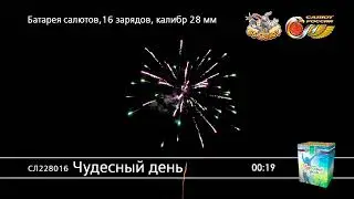 Фейерверк СЛ228016 Чудесный день (1
