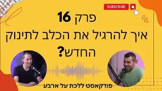 פרק 16 - איך להרגיל כלב לתינוק חדש בקלות ? פודקאסט ללכת על ארבע עם טל שלוש ואיתי ורדי אילוף כלבים