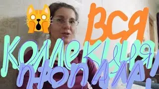 TAG: ВСЯ КОЛЛЕКЦИЯ ПРОПАЛА! Что куплю в первую очередь?