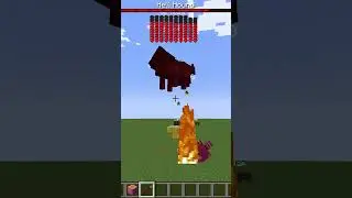 How Strong HELL HOUND vs ALL GOLEMS: Minecraft Mob Battle