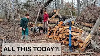 How Much Firewood Can We Cut in a Day?