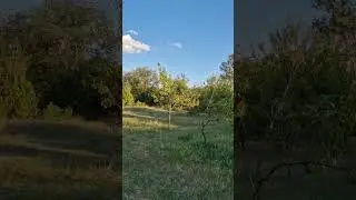 Полтавщина, чудовий вечір, 07.08.24