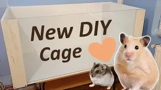 How to Make a DIY Hamster Cage