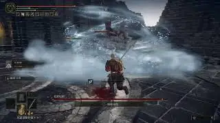 艾爾登法環 - 老將尼奧 | 武士居合 | Elden Ring Commander Niall samurai Boss Fight