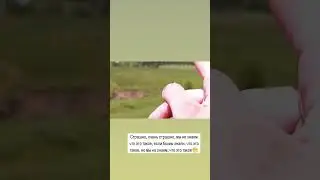 что за круги🤔?    #бугульма #Татарстан #природа