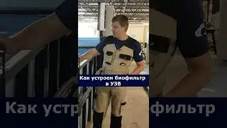 Как устроен биофильтр в УЗВ 