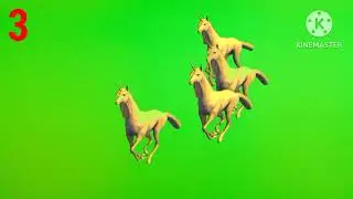 Unicorn video Green Screen Group of unicorn !