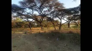 cumar xasan rooraye (Waa Naas Aduunyadu) kabankii xudeydi