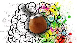 Nootropic effects of yerba mate