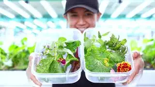 What's In The Bag? The Season of Giving