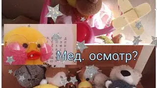 Мед. осмотр в школе мягких игрушек? 🌼